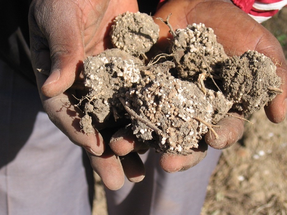 Image Agroforestry and Water harvesting for food security : New project in Senegal 